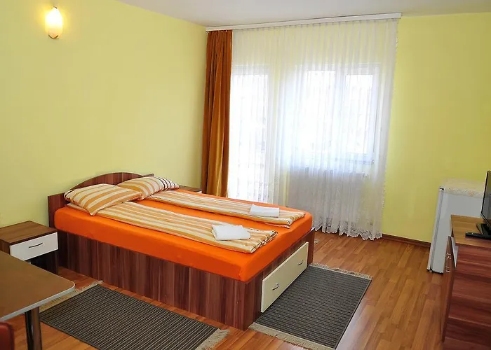 Casa Otilia Pensión 3*